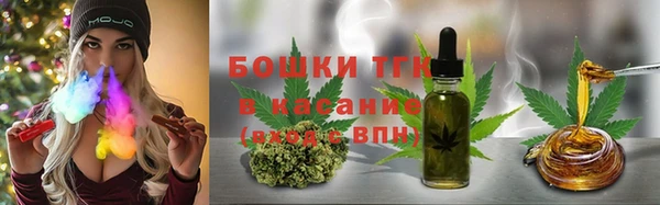 шишки Майский