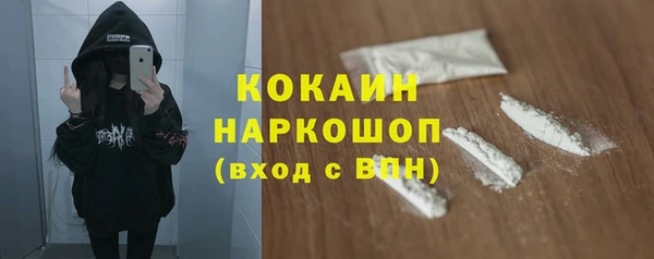 эйфоретик Богданович