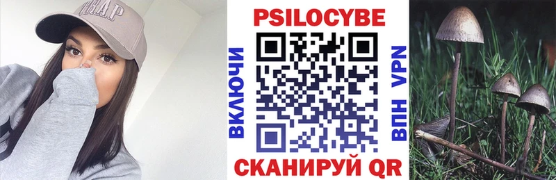 blacksprut как зайти  купить   Щёкино  Псилоцибиновые грибы ЛСД 